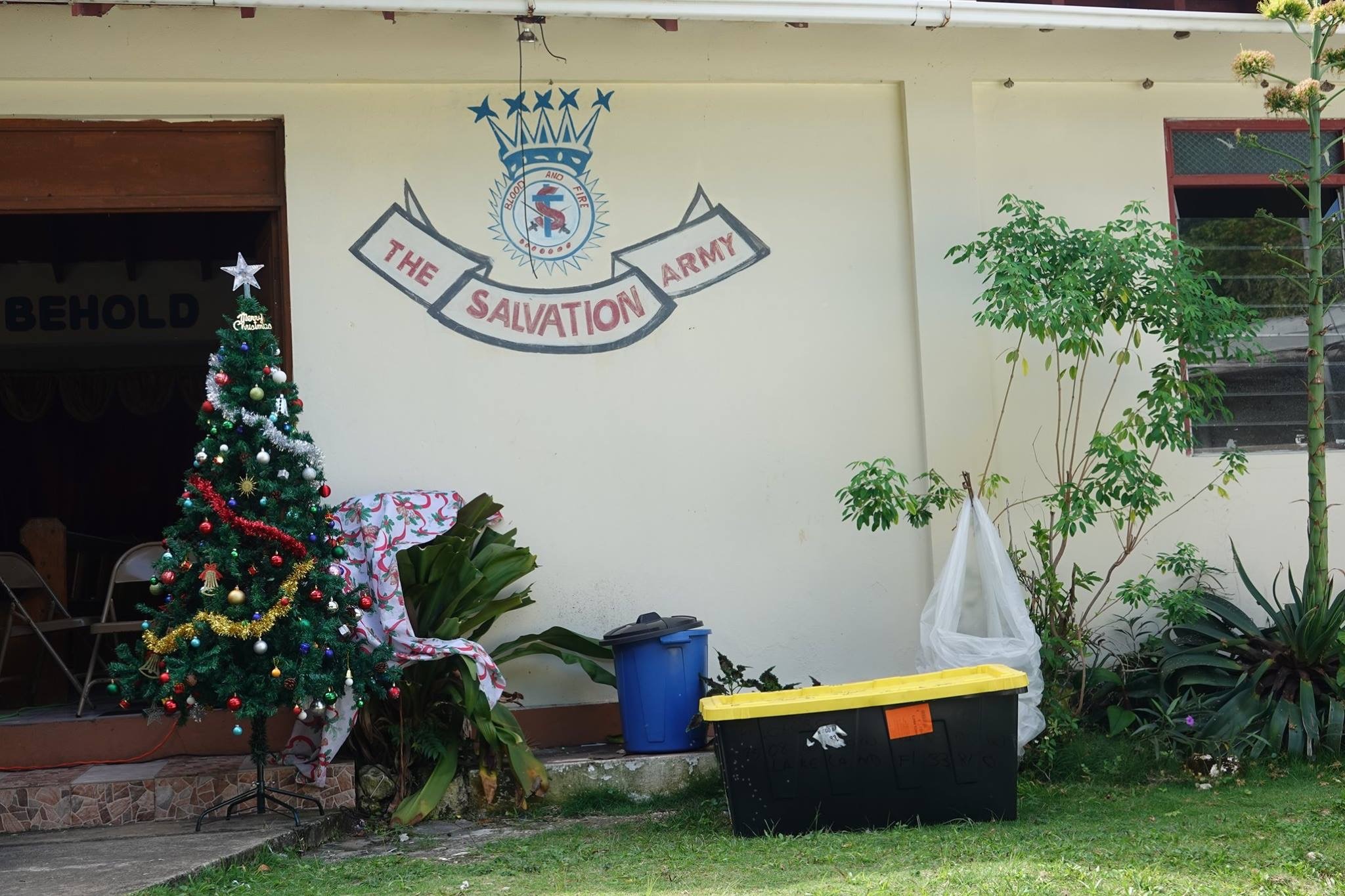 Christmas tree adorned with decorations stands outside a Salvation Army building, featuring a large logo on the wall and surrounding greenery.