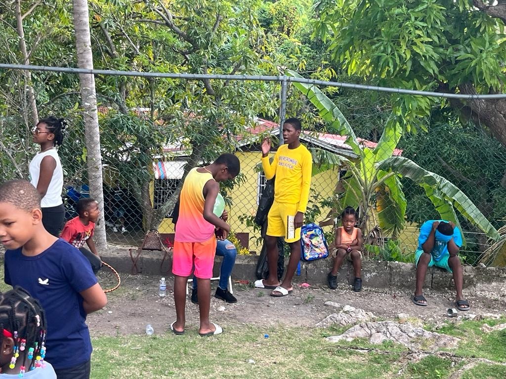 Children play and socialize in a vibrant outdoor setting, surrounded by greenery and a wooden fence, capturing a lively moment of community interaction.
